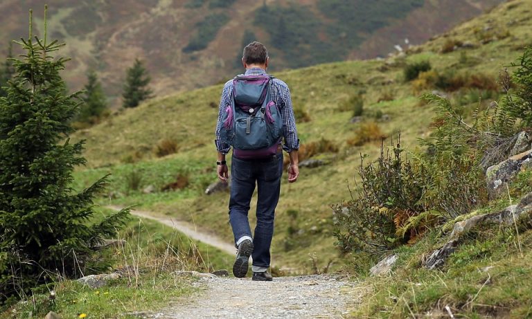 Top 10 Backpacks for Travelers: Stylish, Durable, and Functional